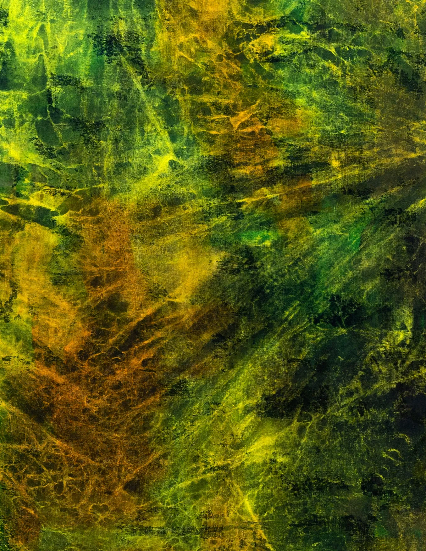 Blazing Like A Sunrise, 2024 - Image 4