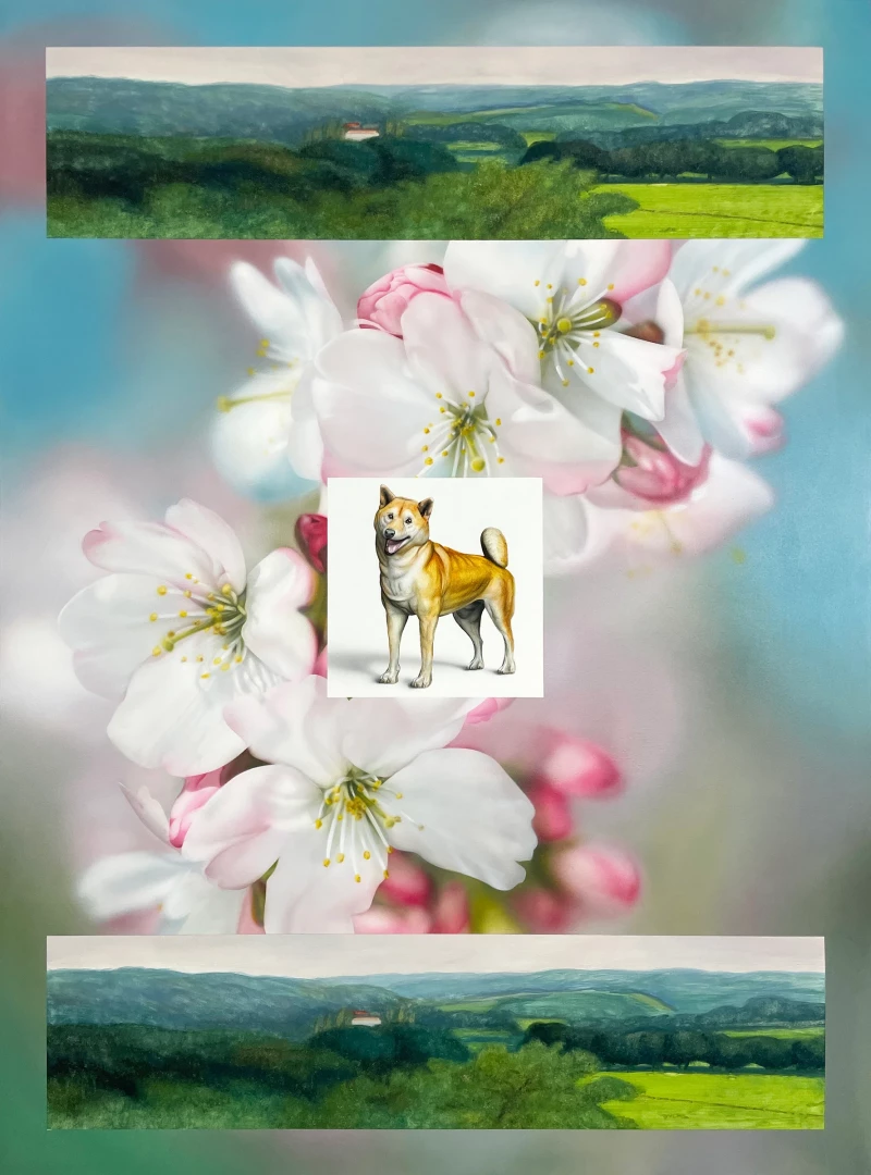 Doge