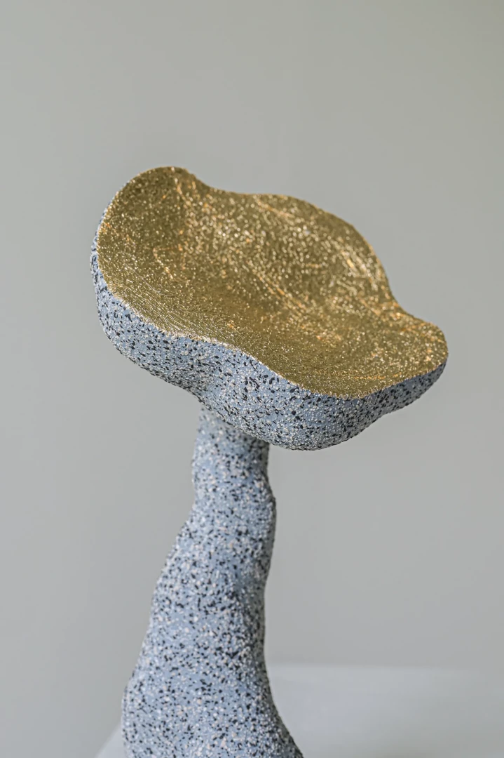 Elua 01 - Image 4