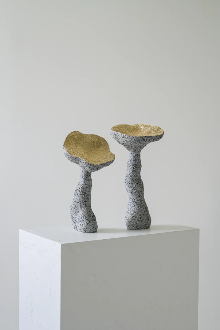 Elua 01 - Image 6