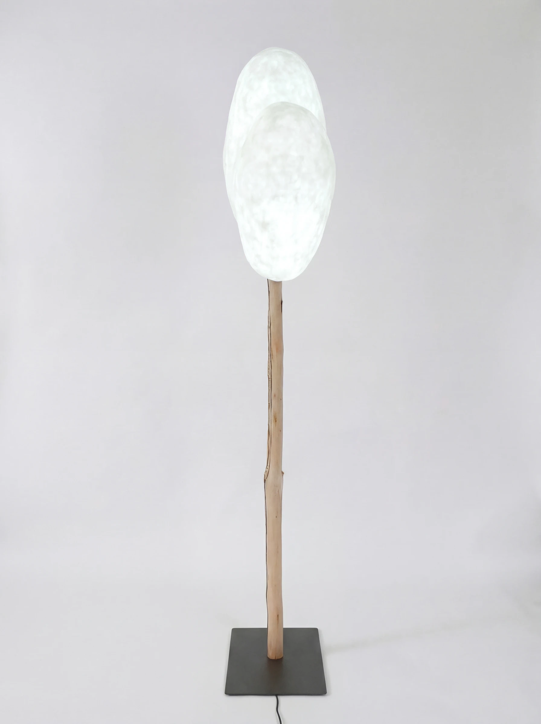 Emergence 2 - Image 5