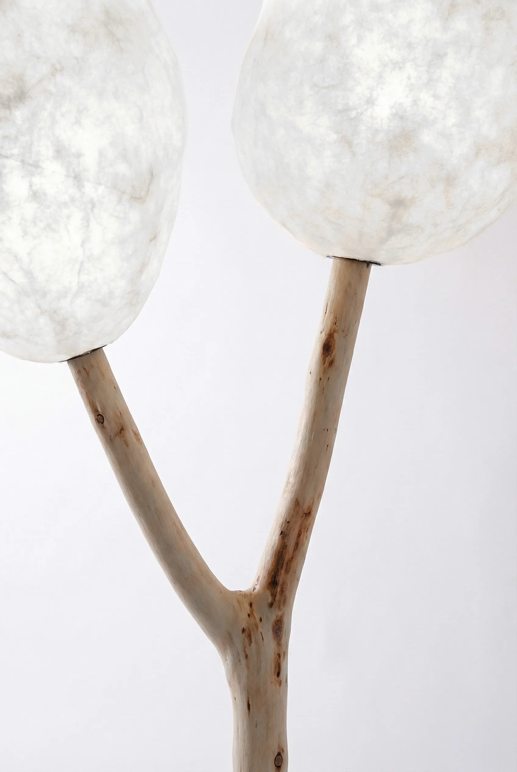 Emergence 2 - Image 6