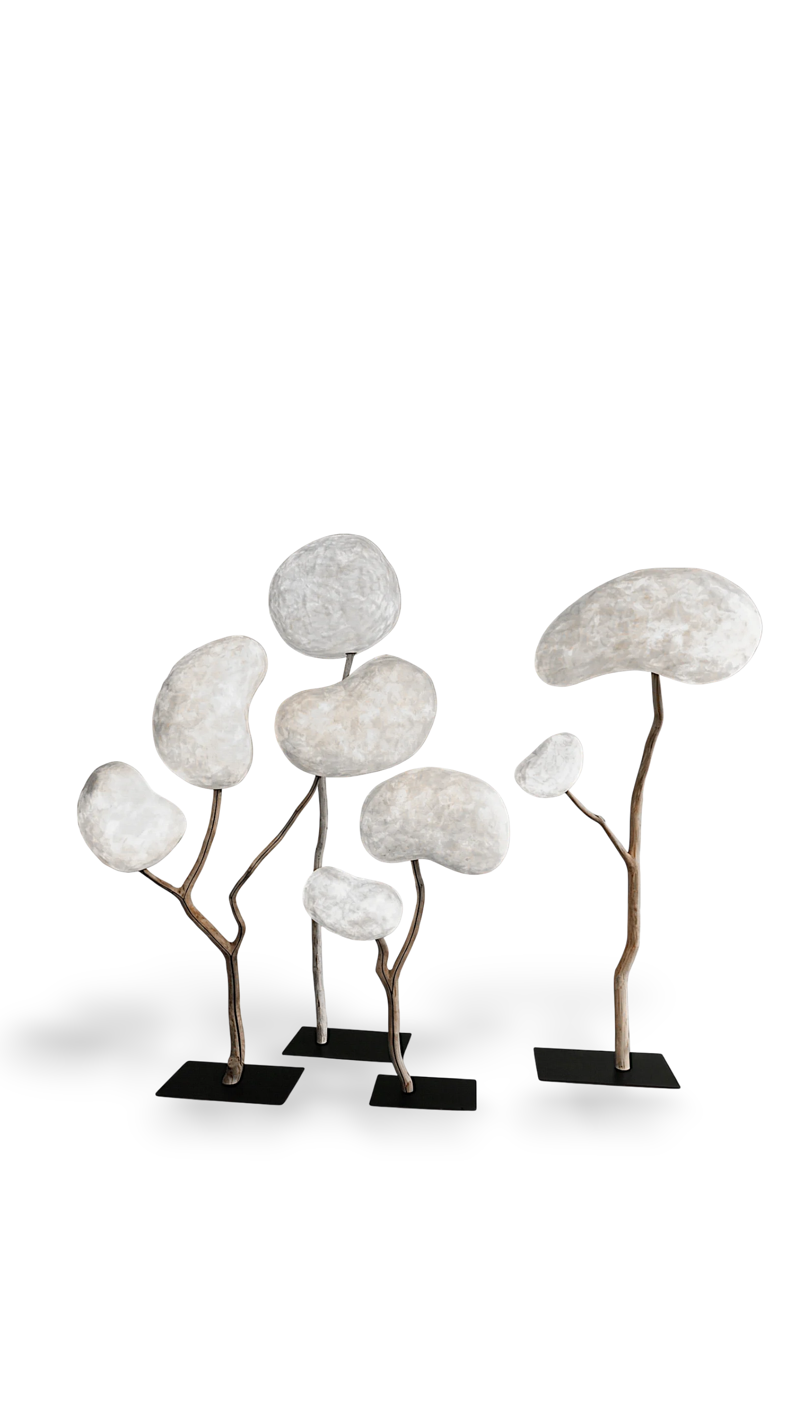 Forêt pleine lune