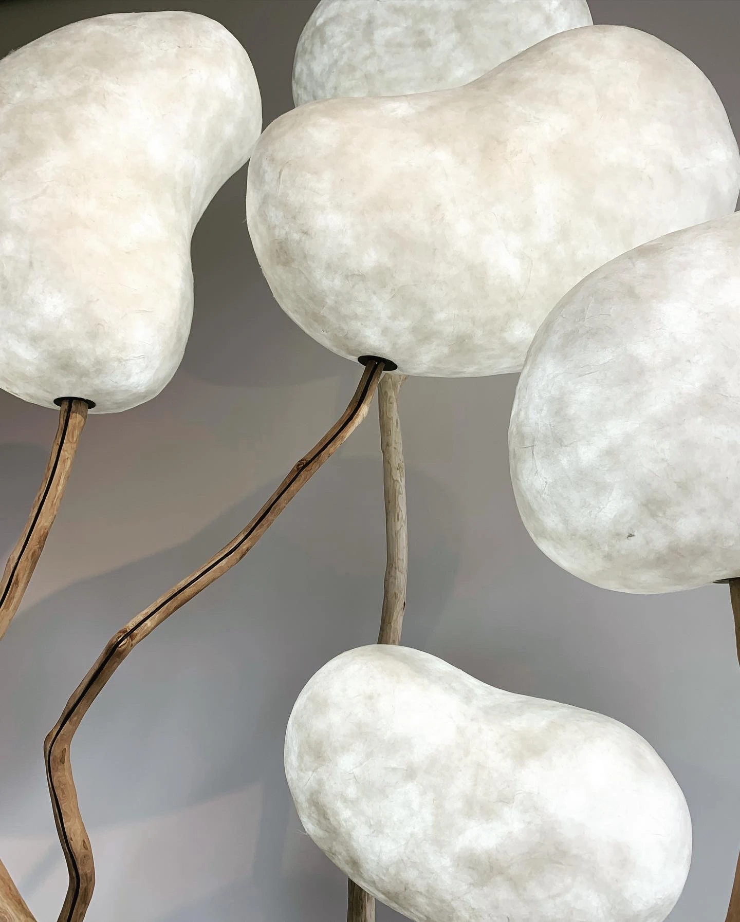 Forêt pleine lune