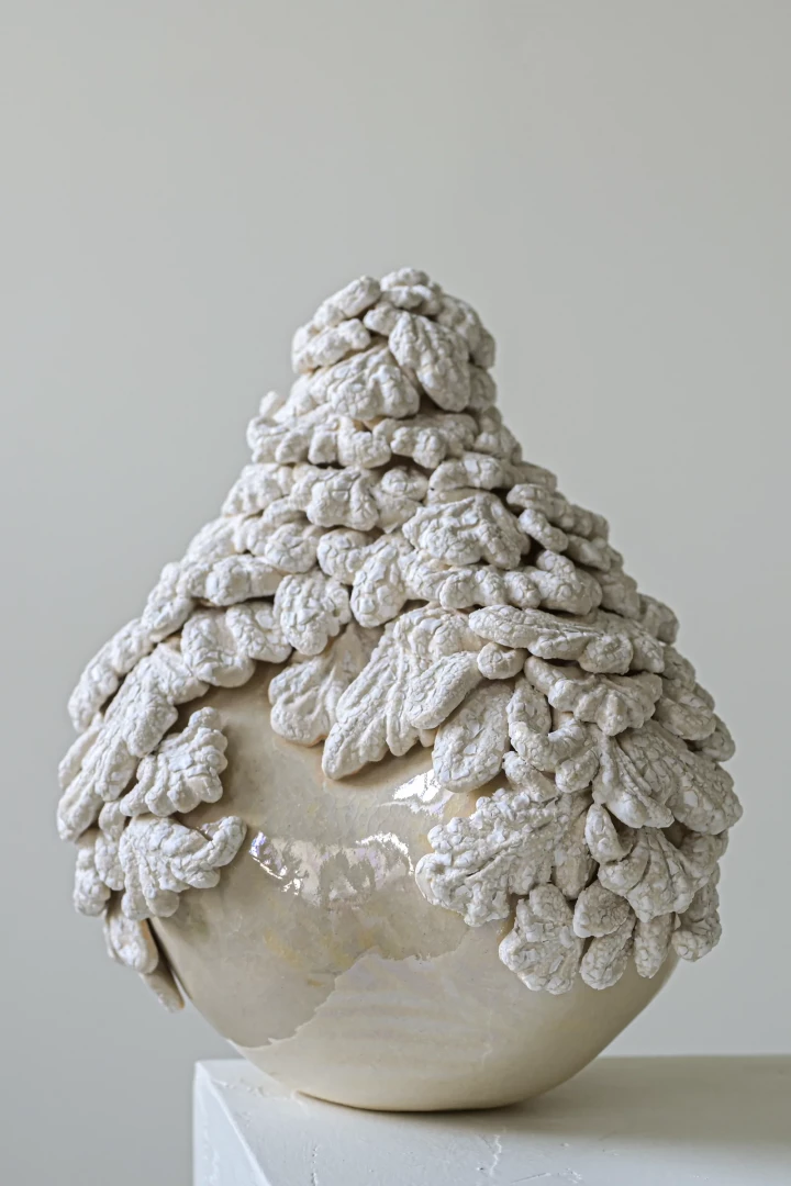 Frosted Nest