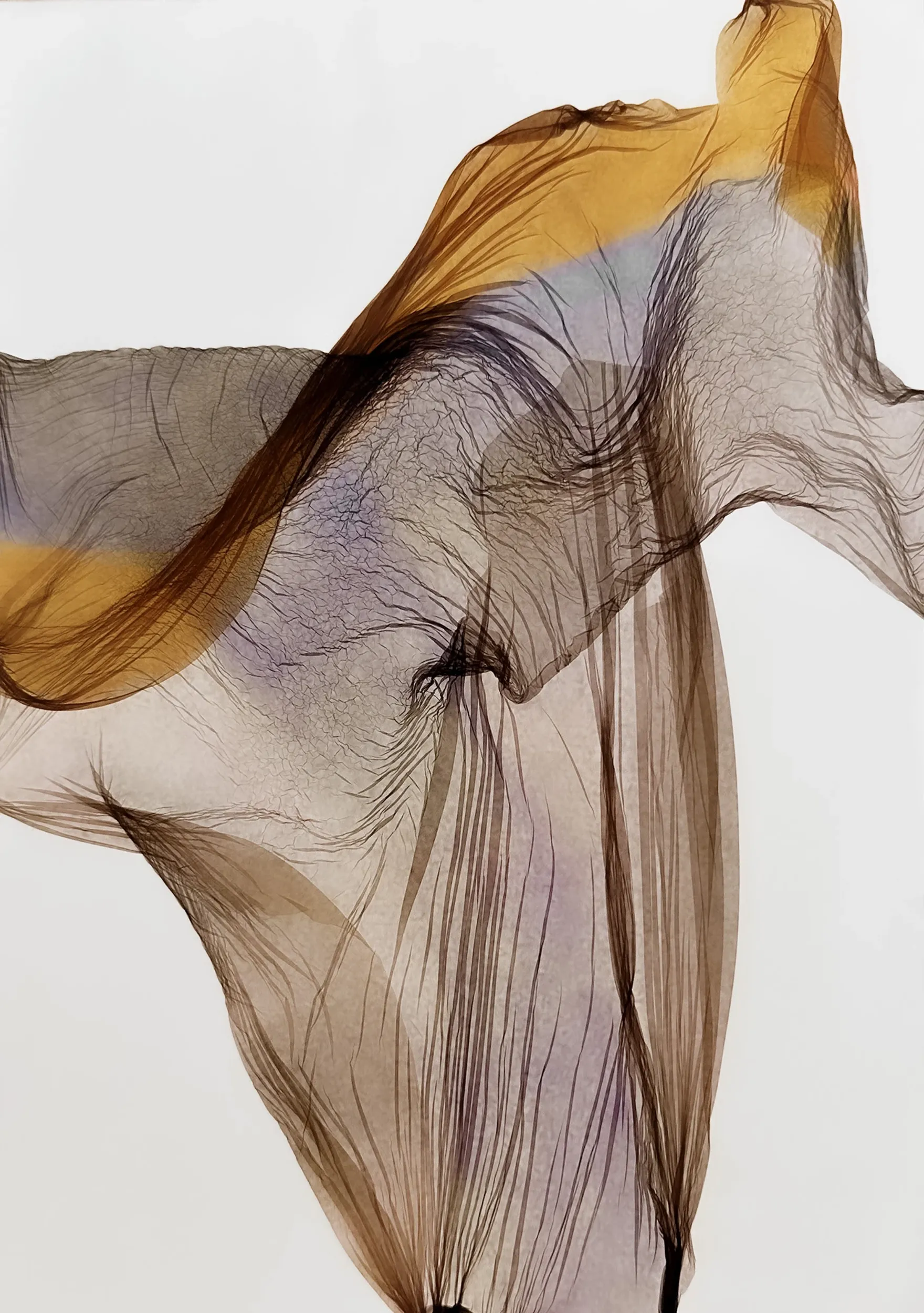 gallery-erin-bird-3-694b05c859a67425259681.webp