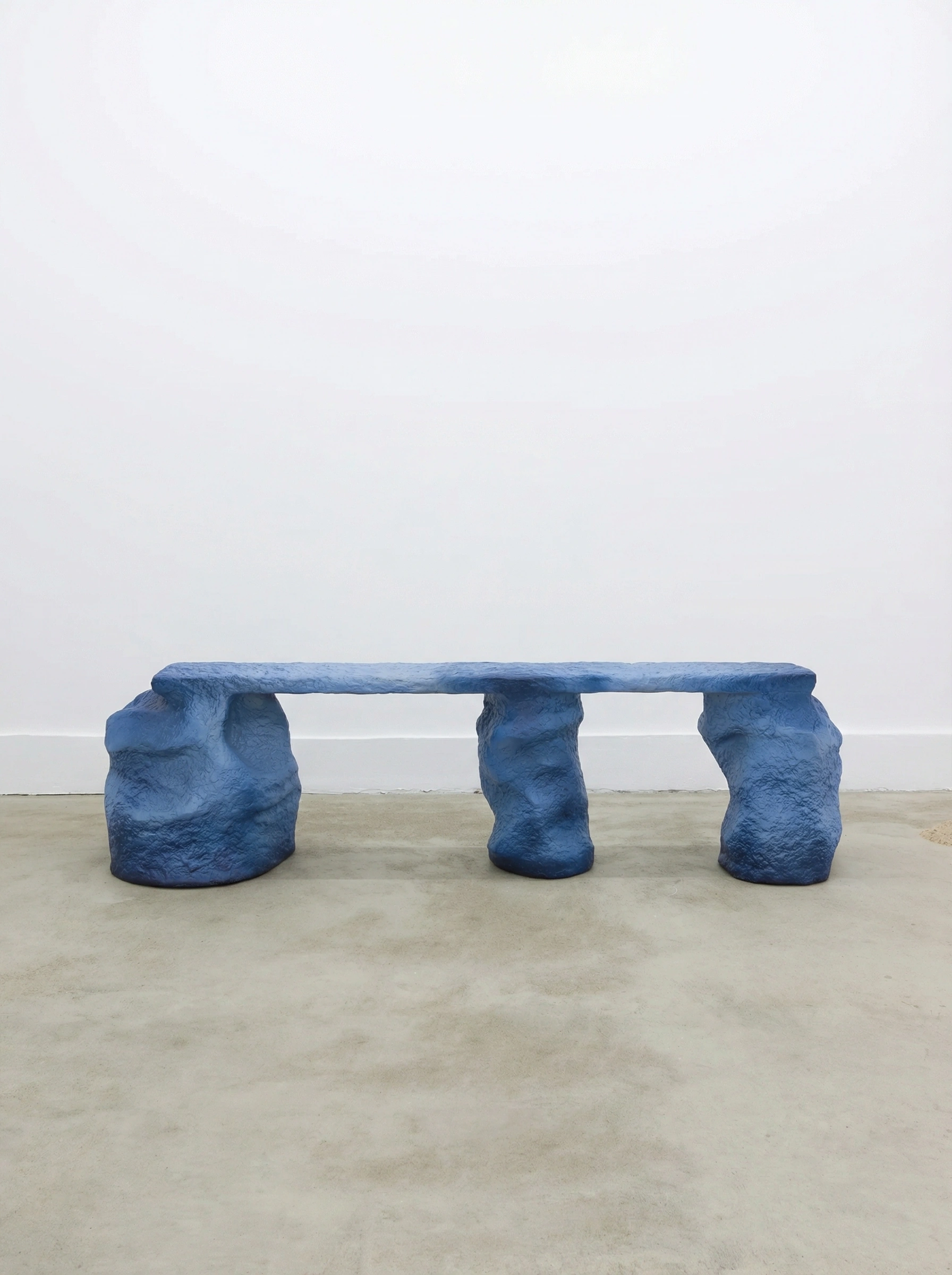 Heliopora Coral - Image 5