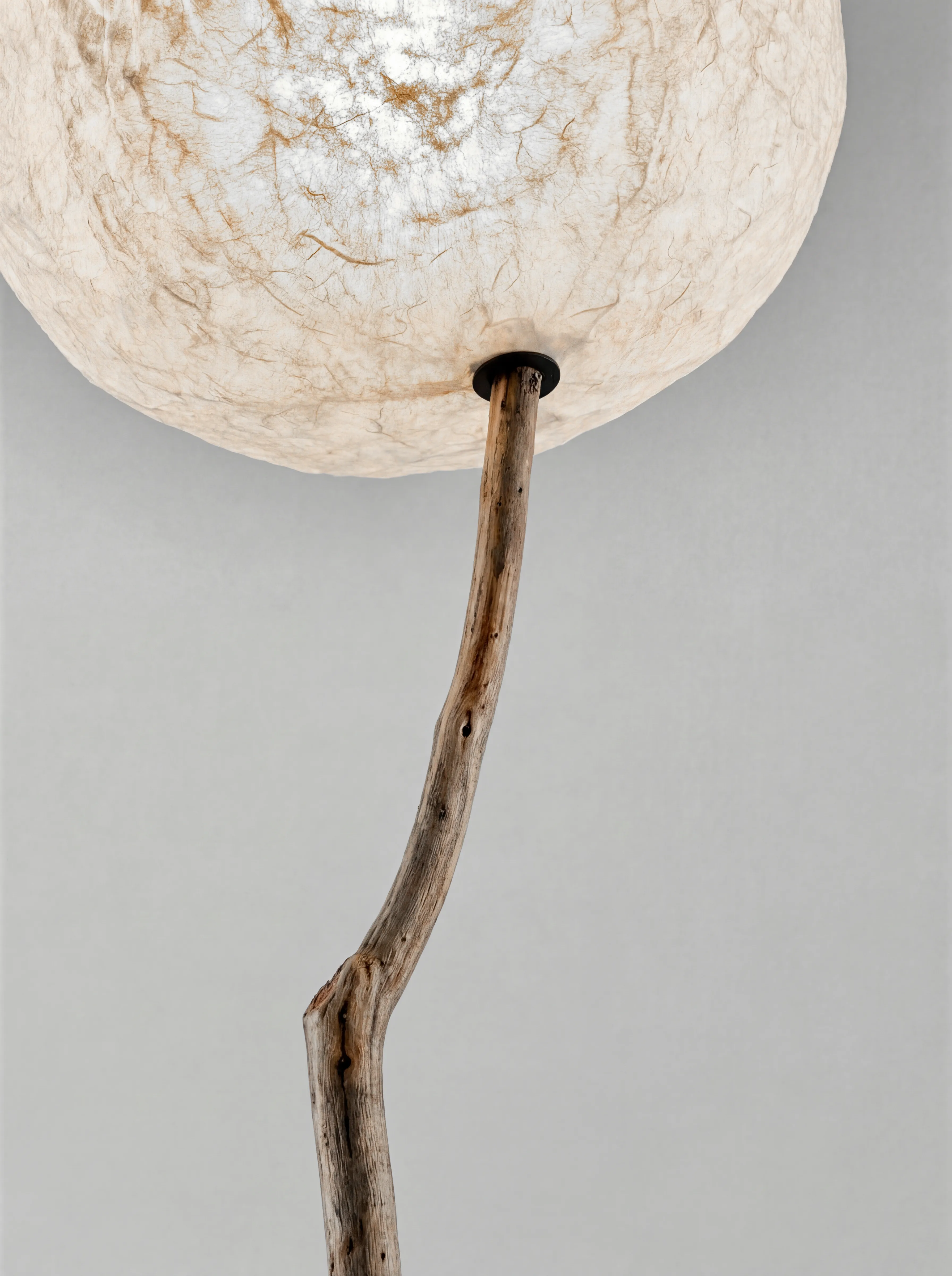 Lune