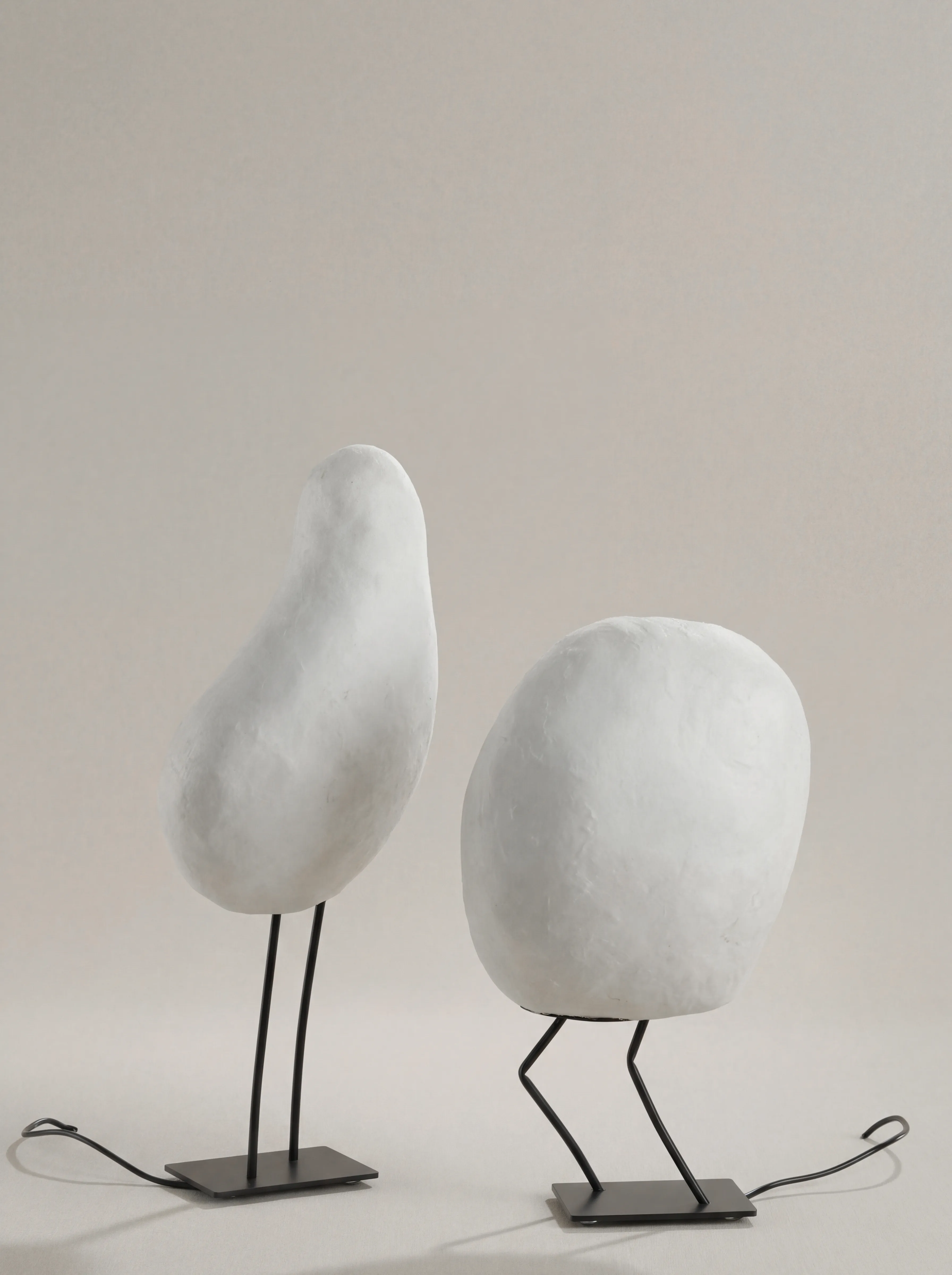 Oiseaux