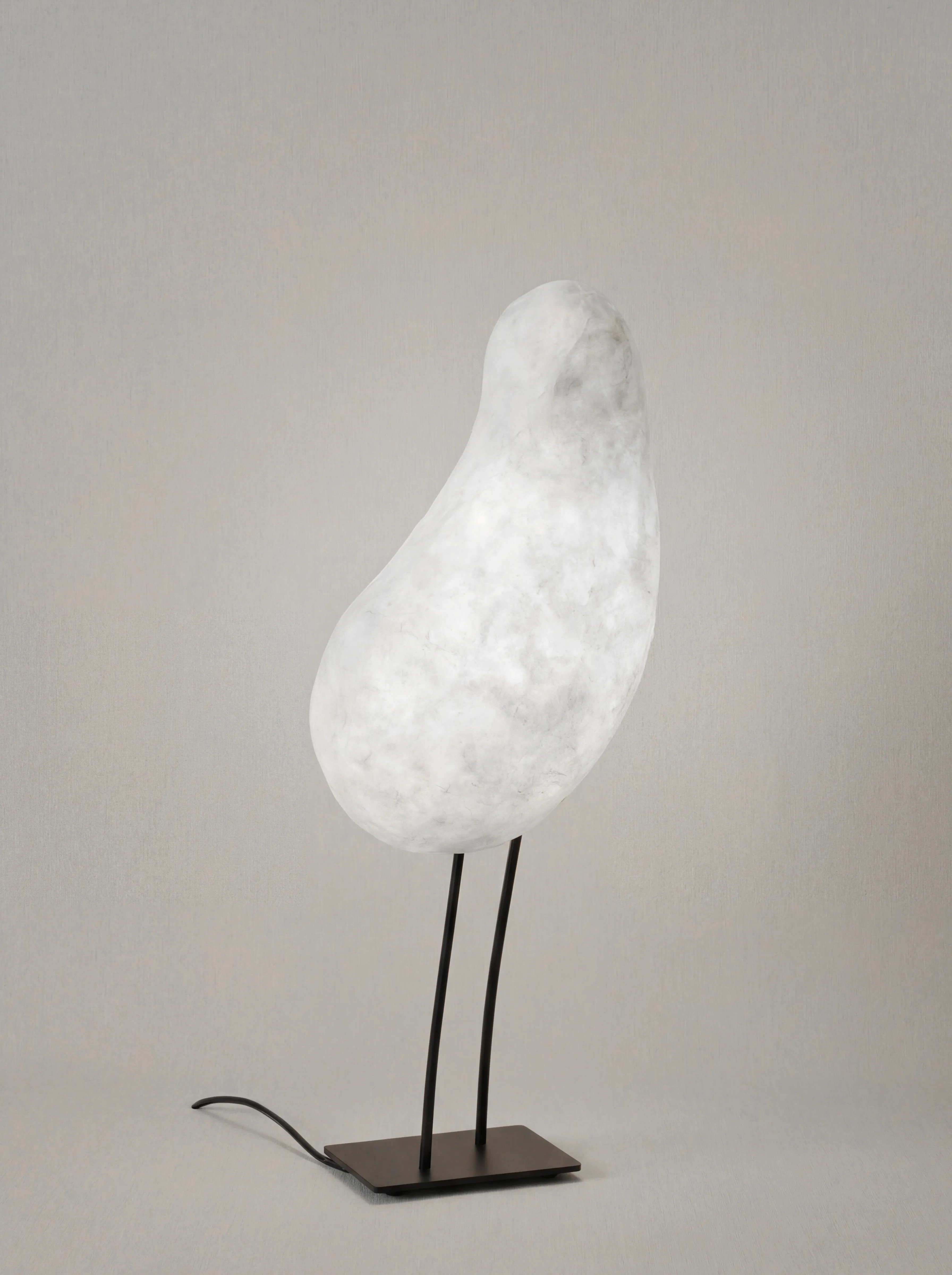 Oiseaux