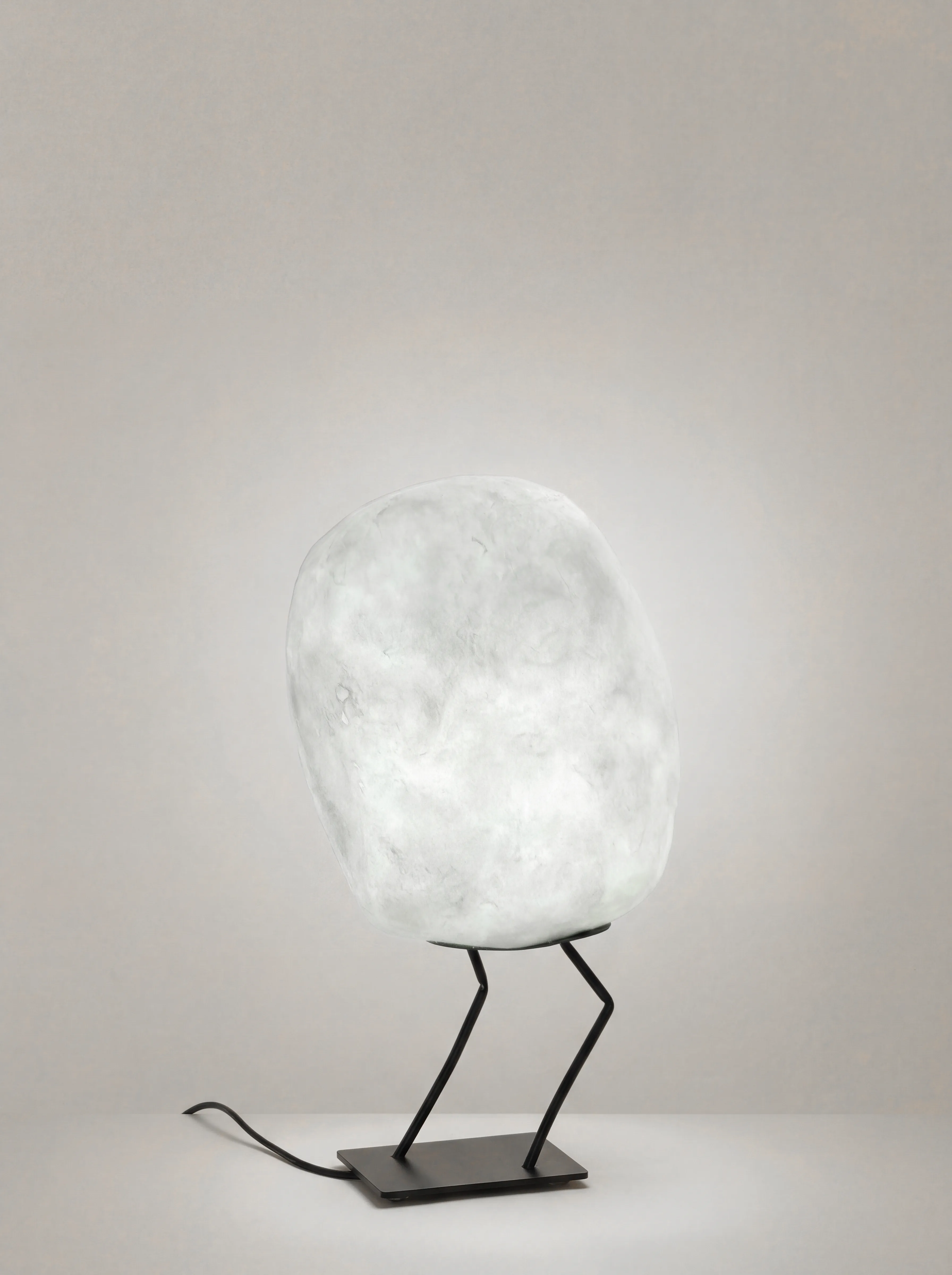 Oiseaux - Image 4