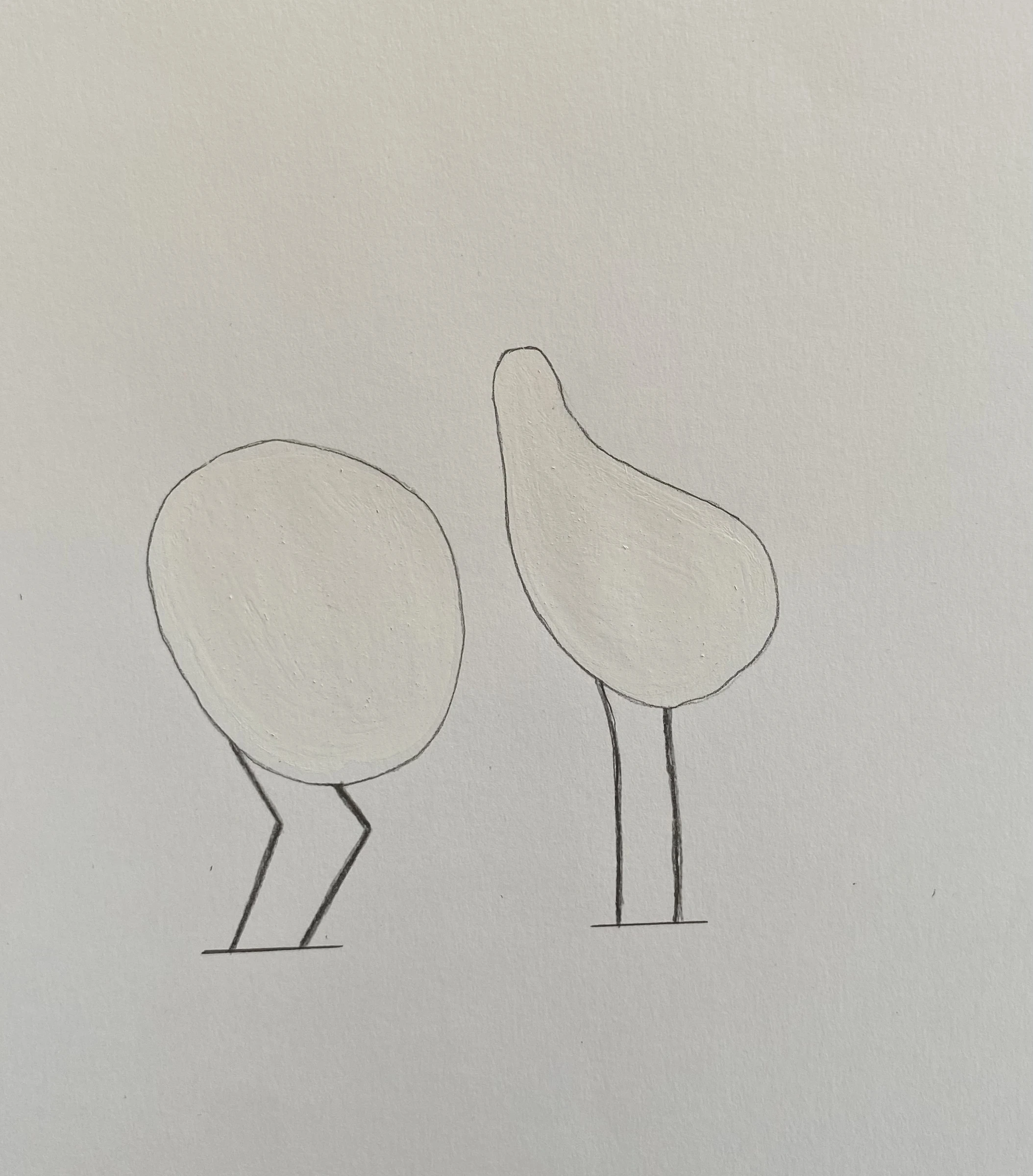 Oiseaux - Image 5