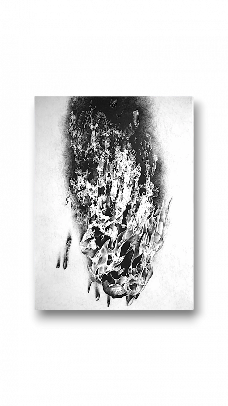 Combustion-3, 2019