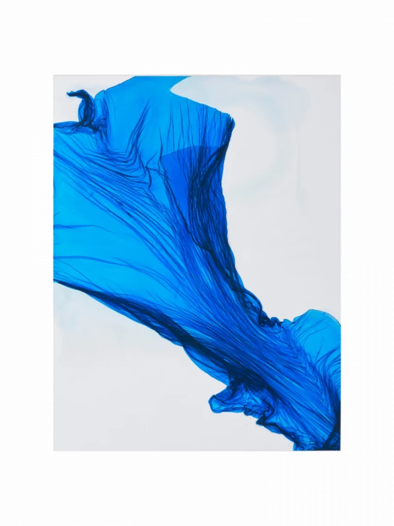 Lapis Lazuli