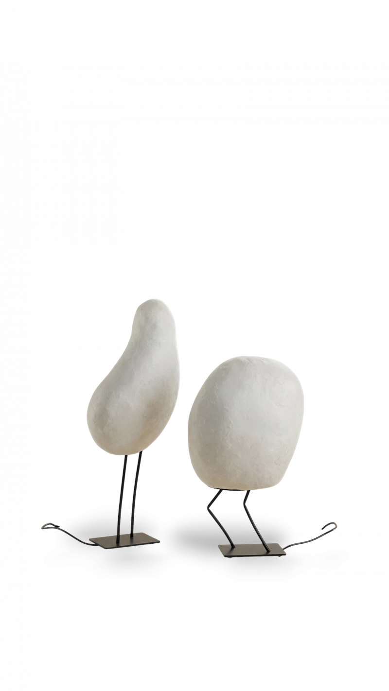 Oiseaux