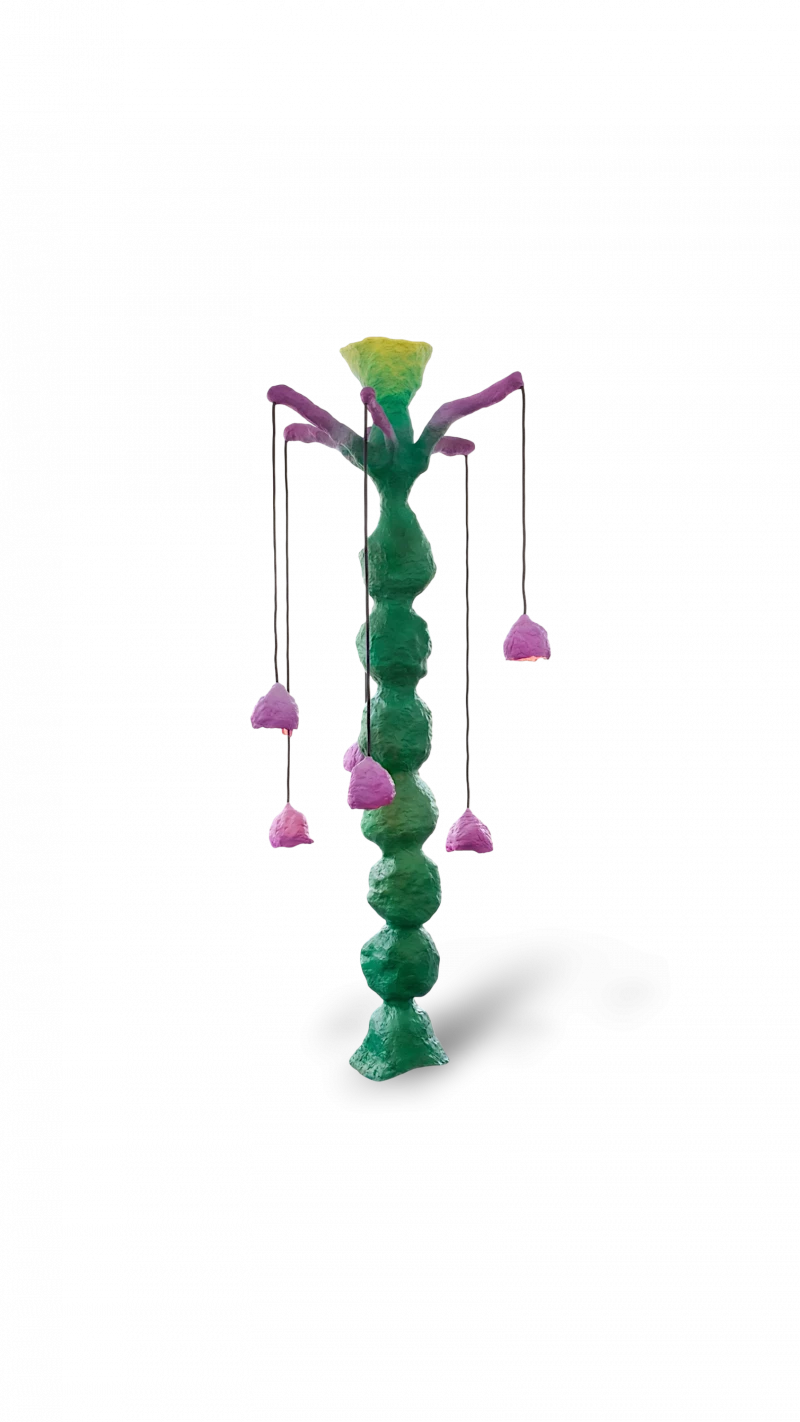 Pariette Cactus