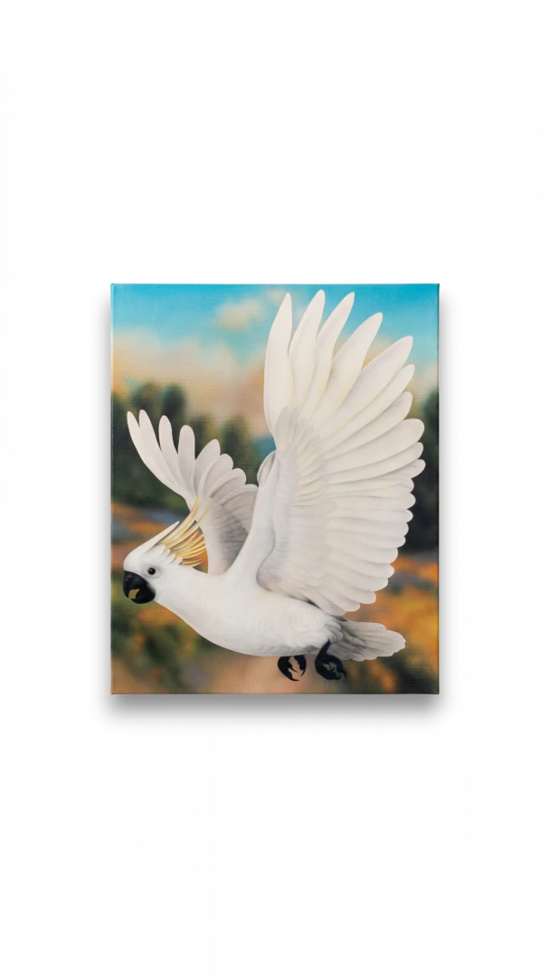 Parrot-1