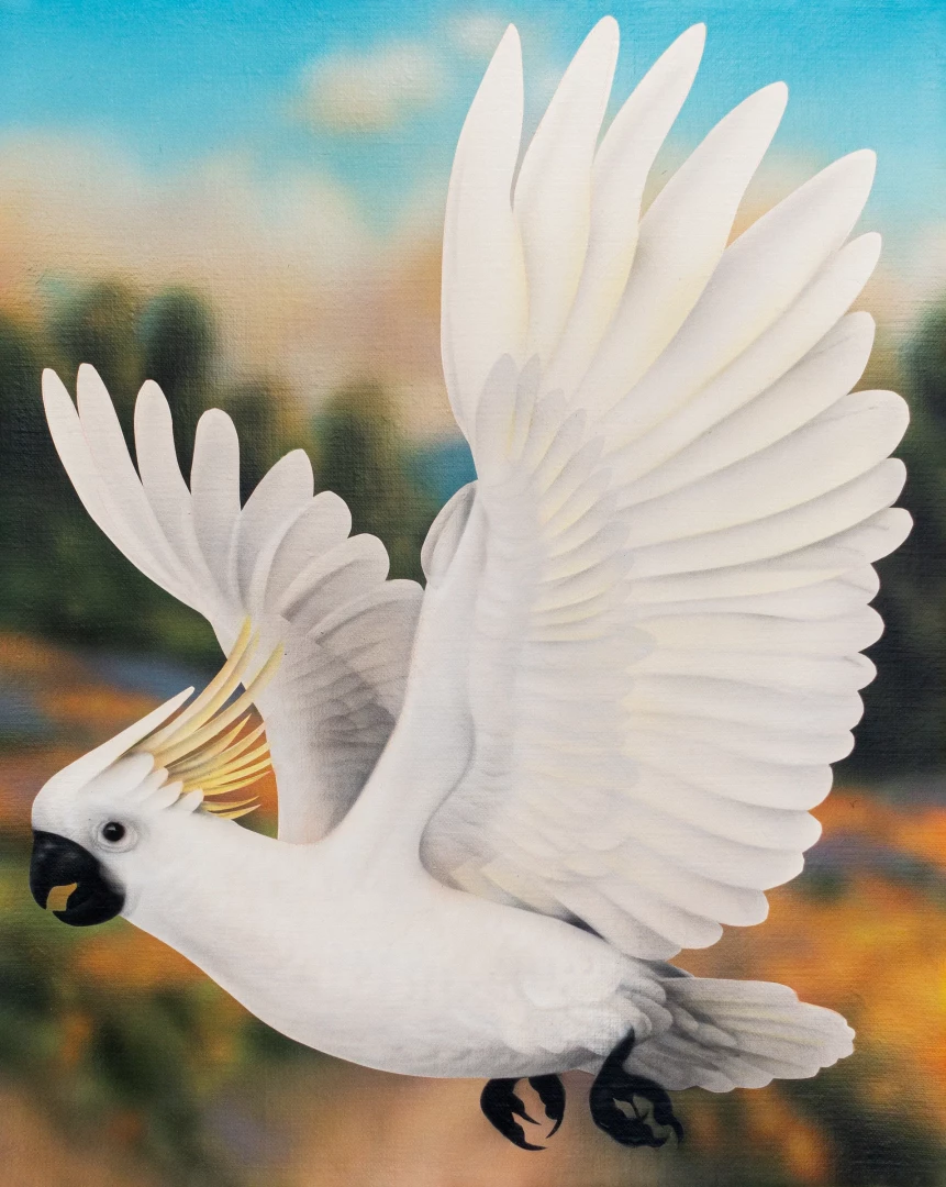 Parrot-1