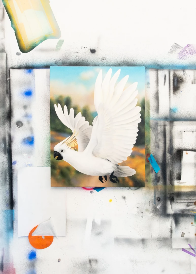 Parrot-1