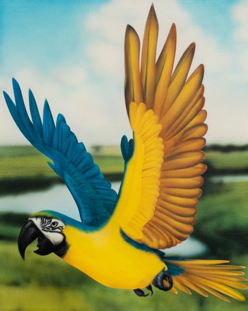 Parrot-2