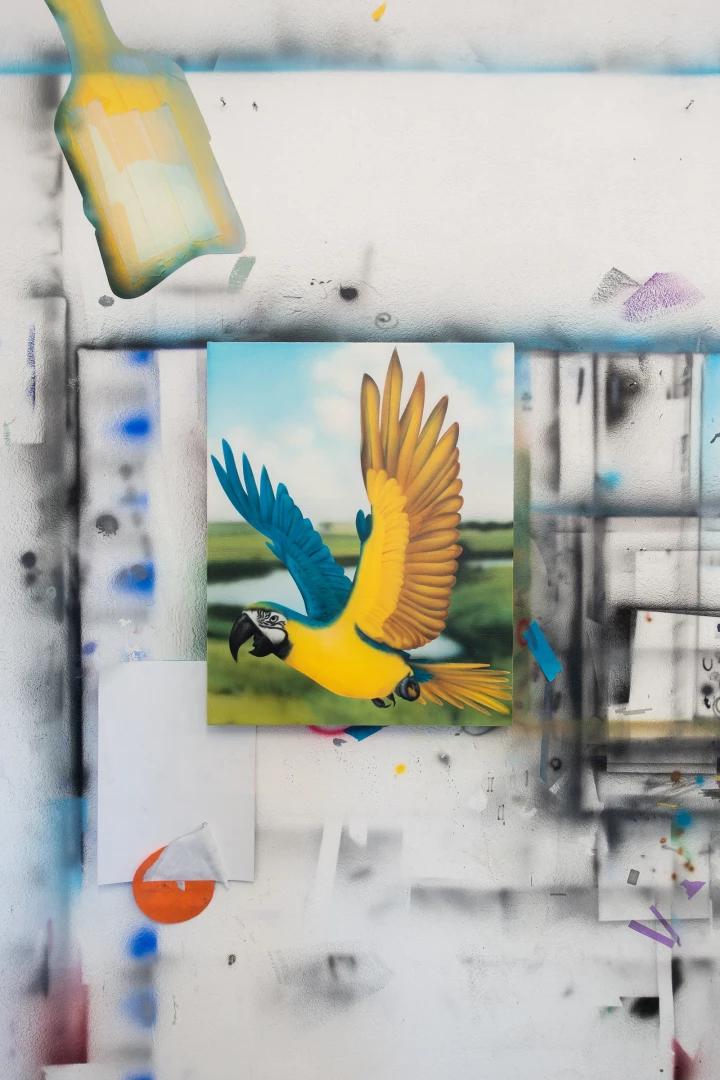 Parrot-2
