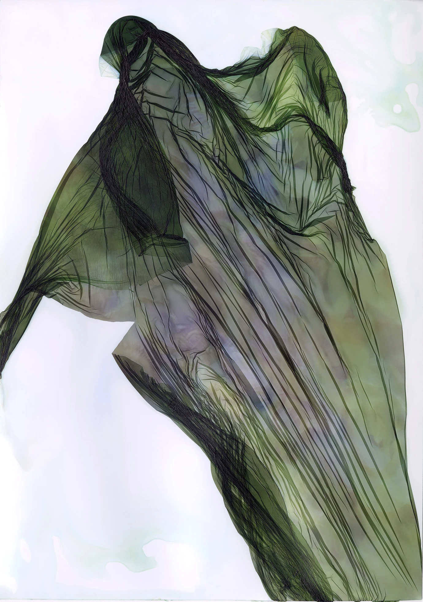 Shes Green