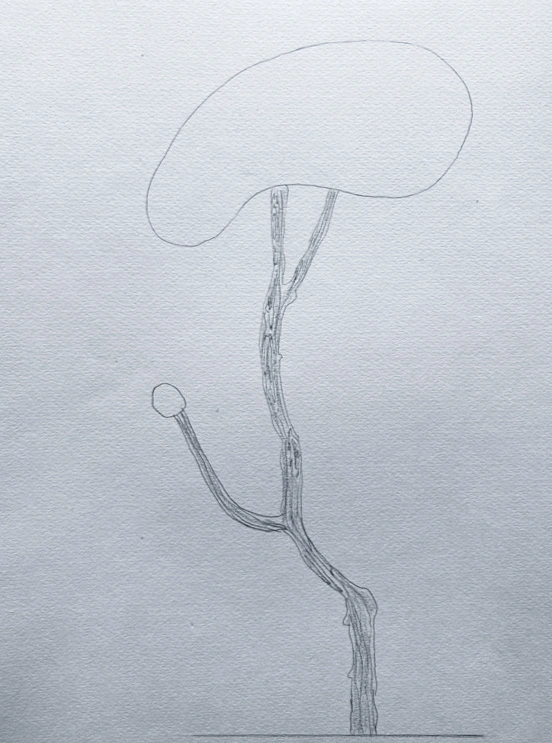 Snow - Image 4