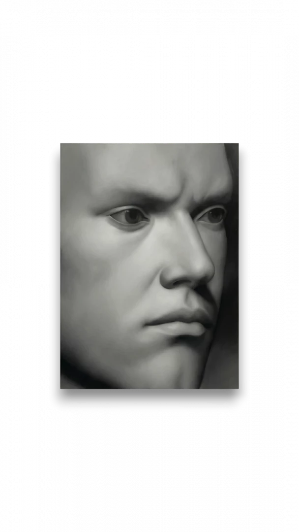 Stolen face