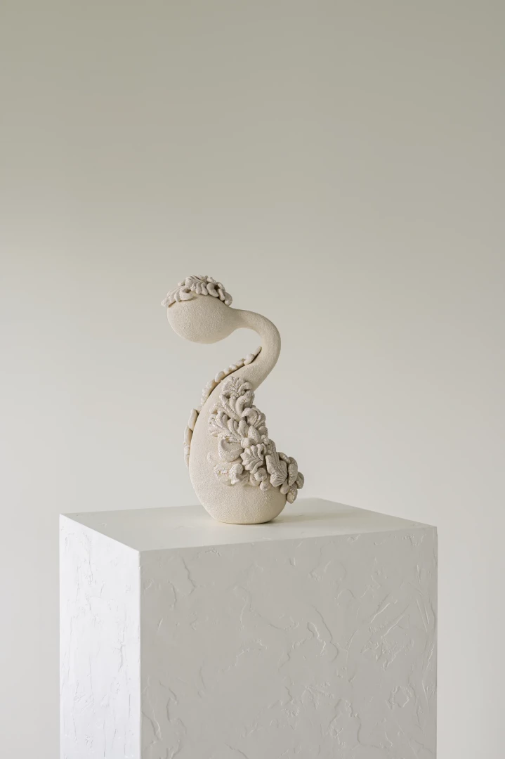 Velvet Swan
