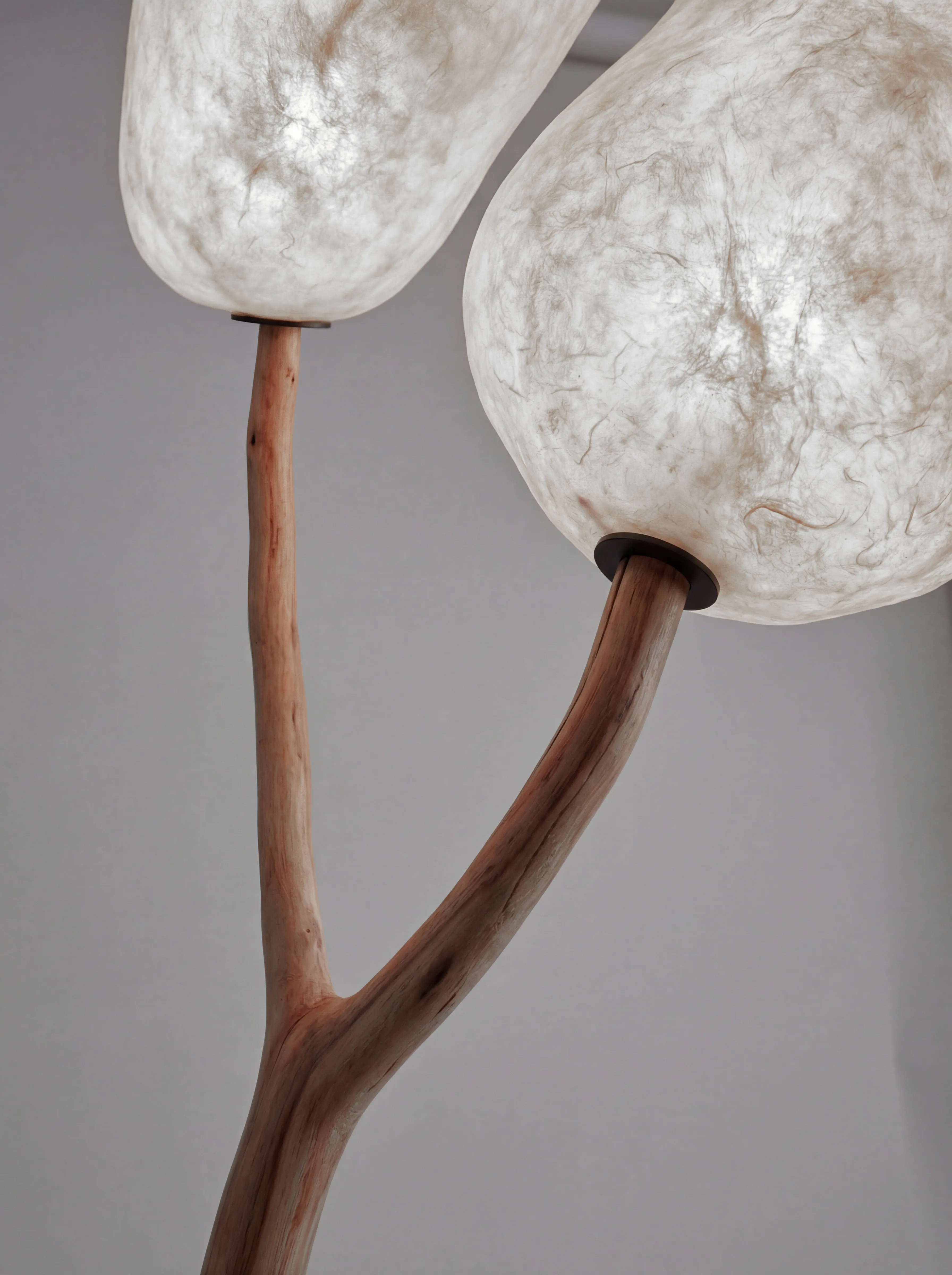 Whisper - Image 4