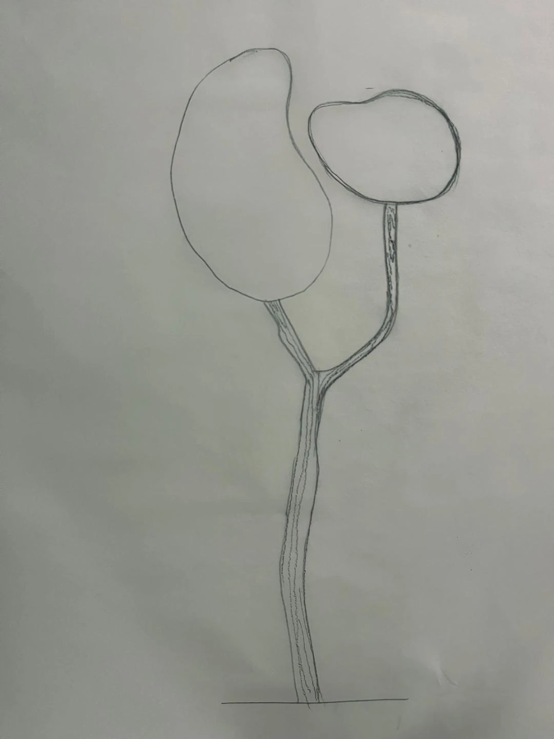 Whisper - Image 5